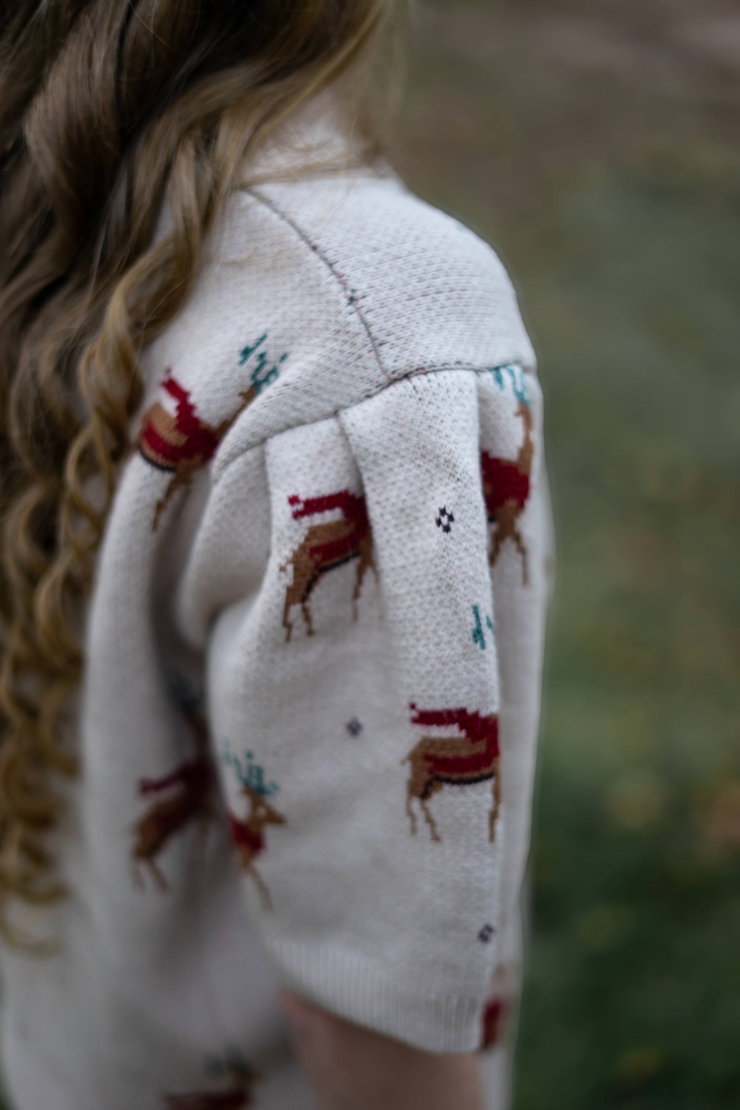 Short Sleeve Reindeer Sweater