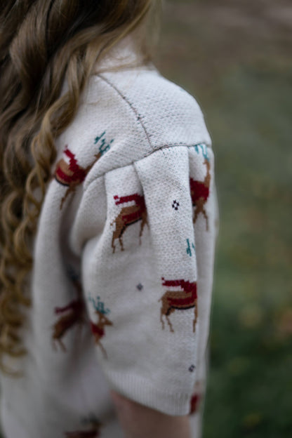 Short Sleeve Reindeer Sweater